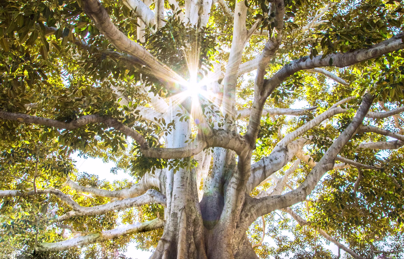 Ресурс для предпринимателя